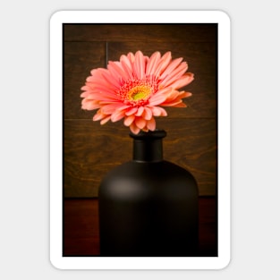 Pink Daisy In Black Vase Sticker